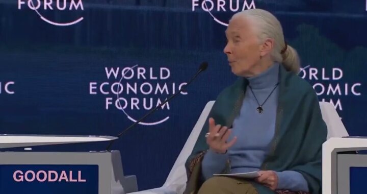 wef goodal