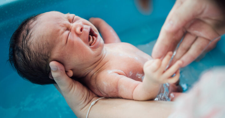 babynew-born-child