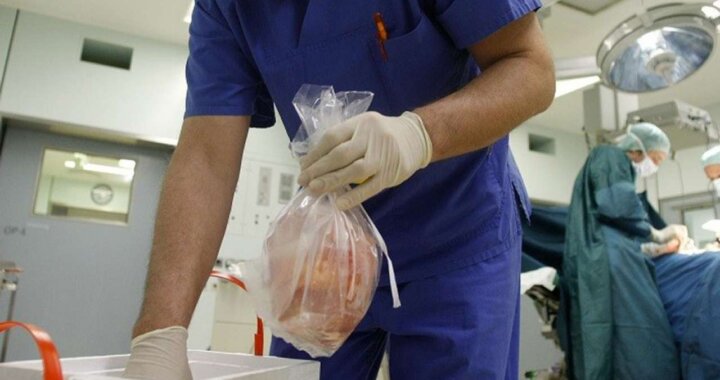 human-organs-transplatation-hospital-operation