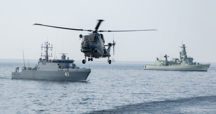 anakonda