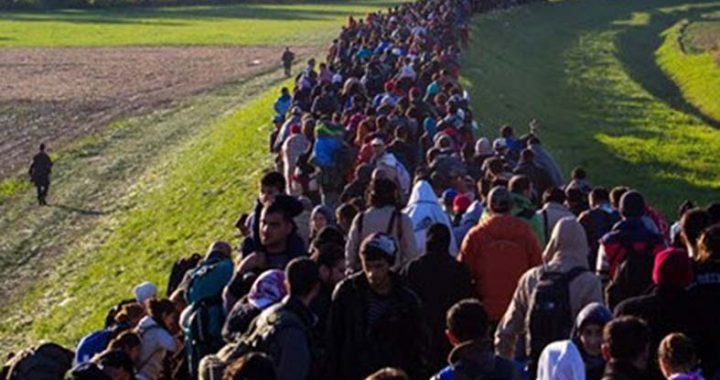migrants