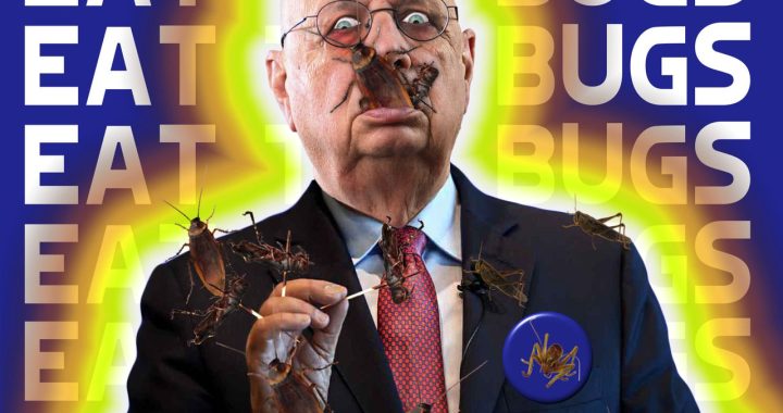 EatTheBugs_SchwabWEF