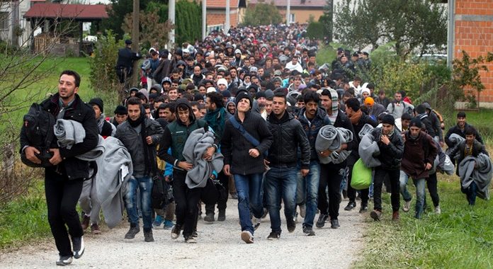 migranti-migrants