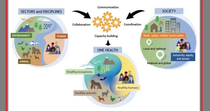 one-health-who