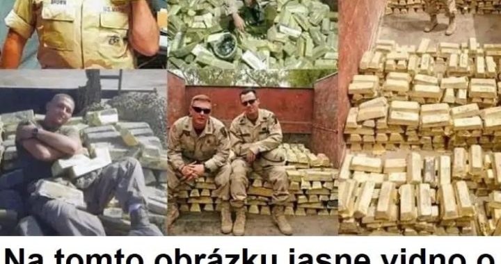 zhn su zo zlata
