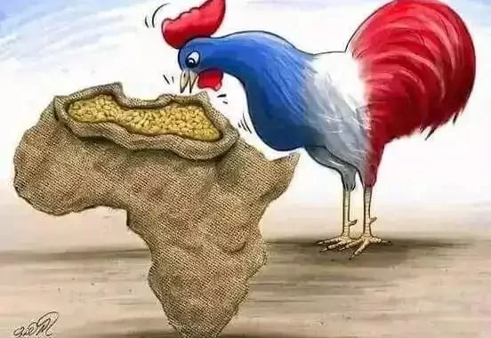 afrika krmi francuzsko