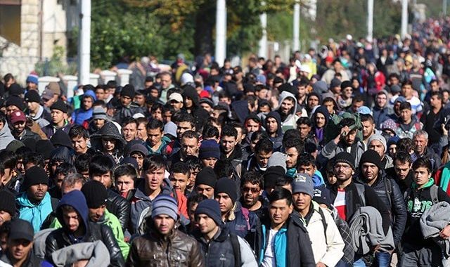 migrants