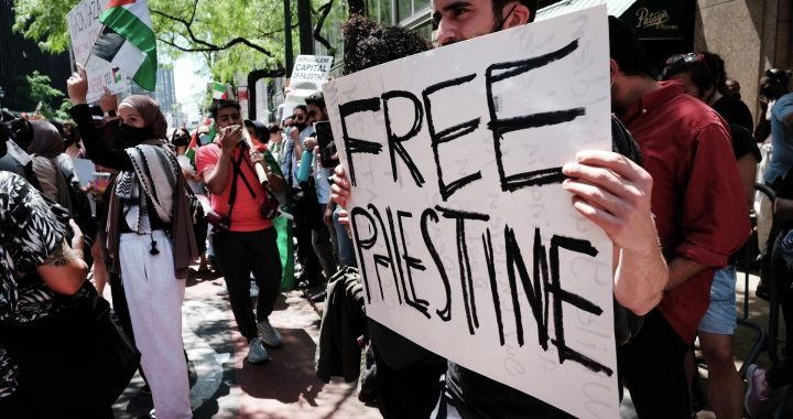 free palestine