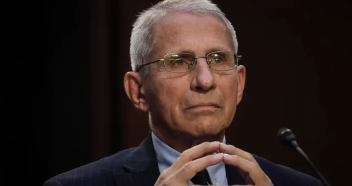 anthony-fauci-capitol