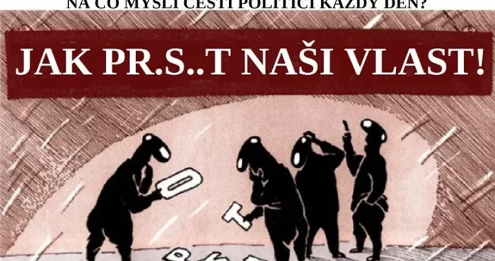 Na-co-mysli-politici