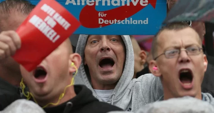 afd-german