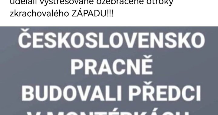 estebaci - svine v oblekoch