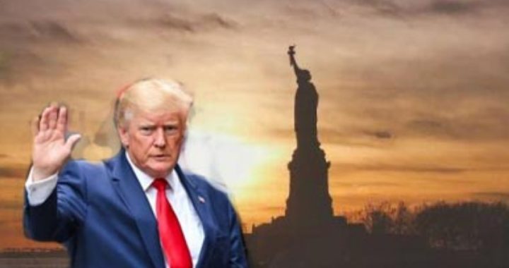 trump-socha