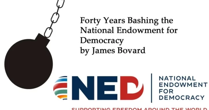 ned logo