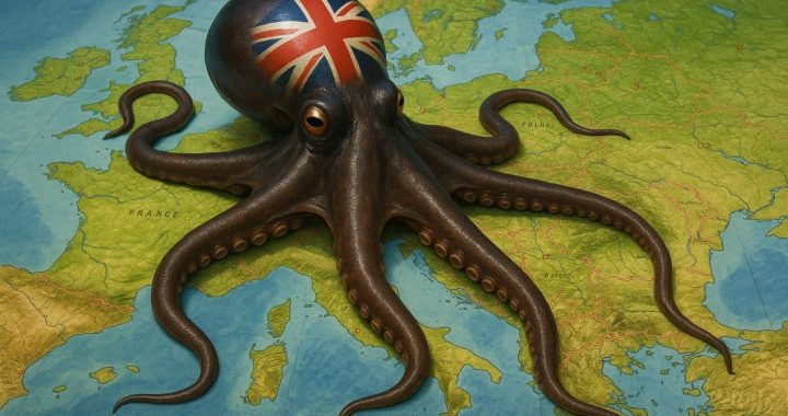 brit octopus