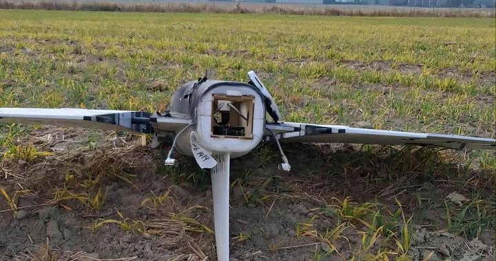 poldron